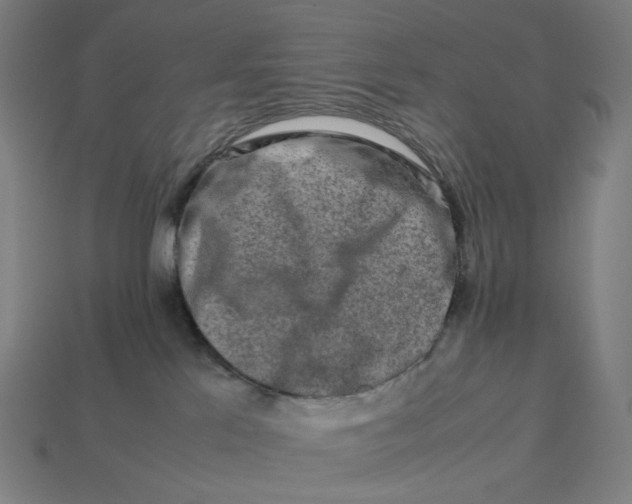 X0000113370041200910061109