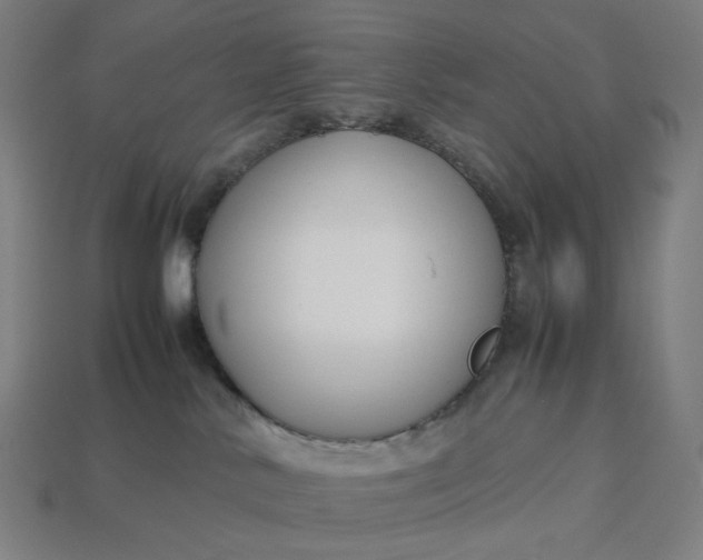 X0000113370042200910061109