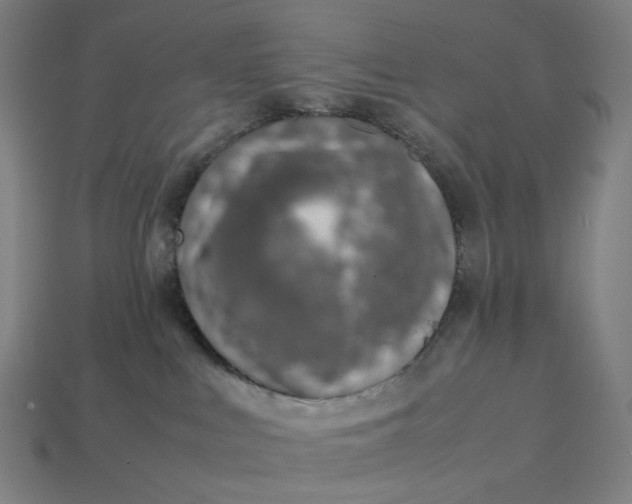X0000113370043200910061109
