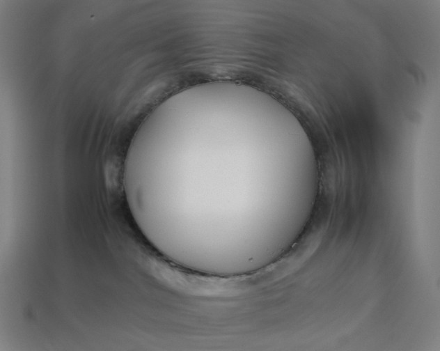 X0000113370044200910061109