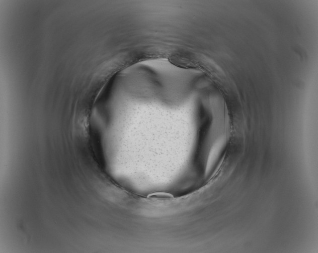 X0000113370045200910061109