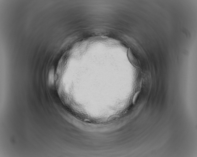 X0000113370046200910061109