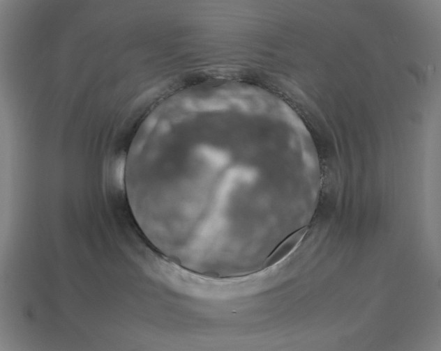 X0000113370047200910061109