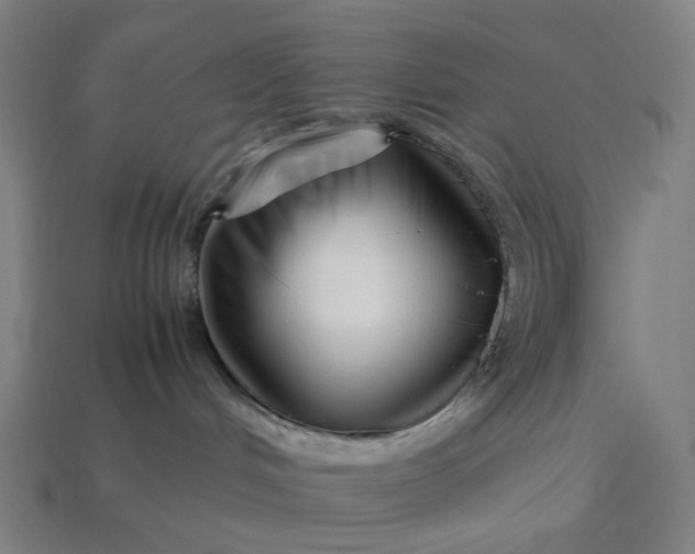 X0000113370048200910061109
