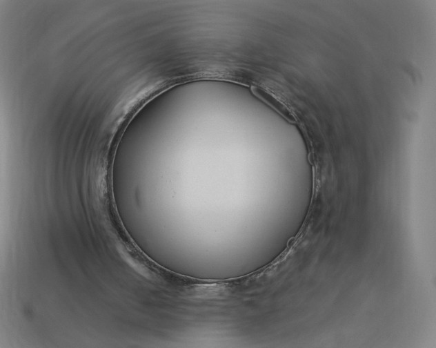 X0000113370050200910061109