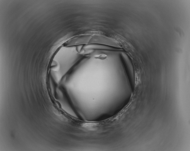 X0000113370051200910061109