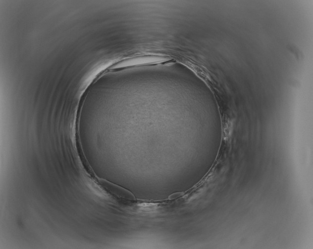 X0000113370052200910061109