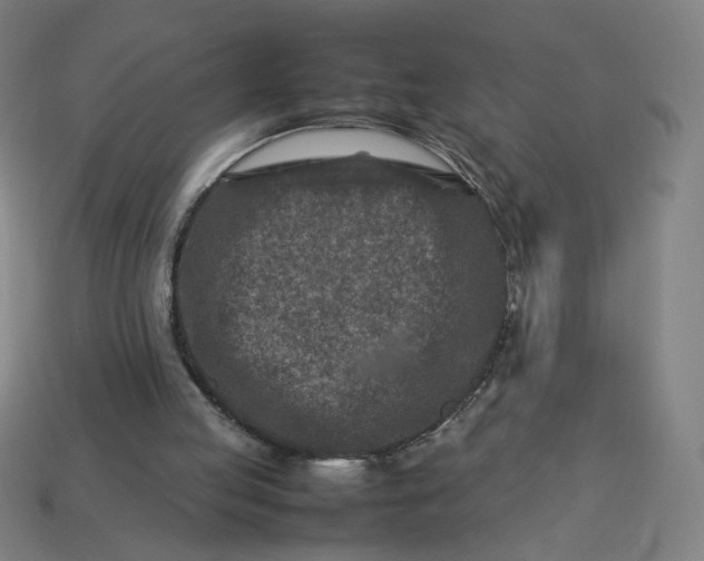 X0000113370053200910061109