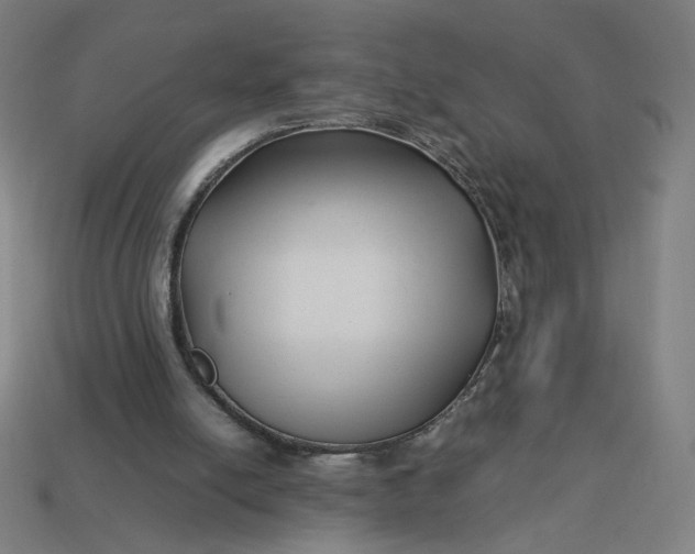 X0000113370054200910061109