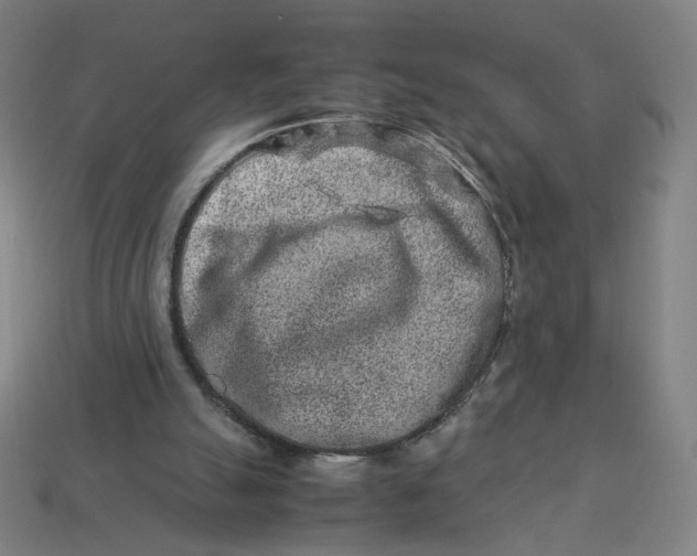 X0000113370055200910061109