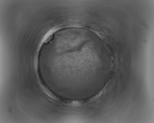 X0000113370056200910061109
