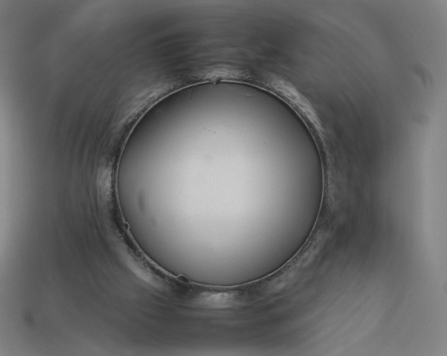 X0000113370057200910061109
