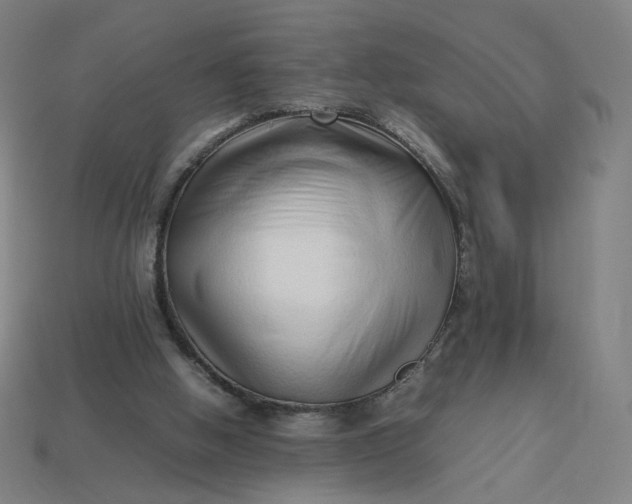 X0000113370058200910061109