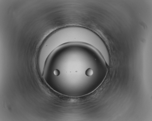 X0000113370060200910061109