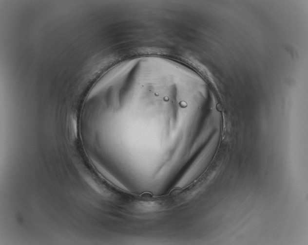 X0000113370061200910061109