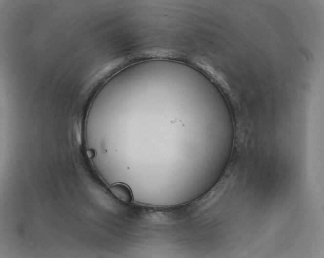 X0000113370062200910061109