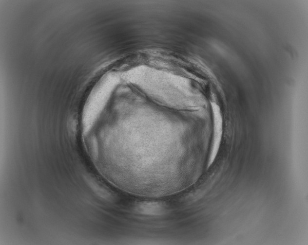 X0000113370063200910061109