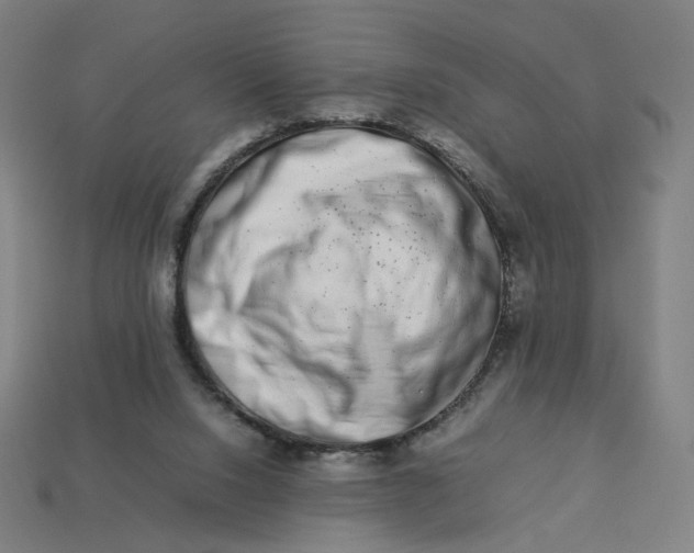 X0000113370064200910061109
