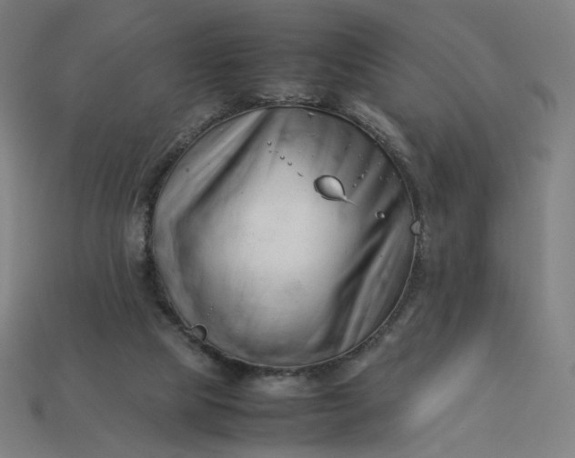 X0000113370065200910061109