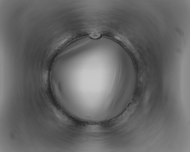 X0000113370066200910061109