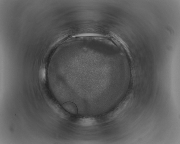 X0000113370067200910061109