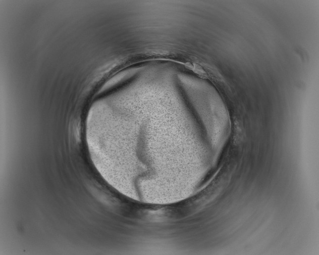 X0000113370068200910061109