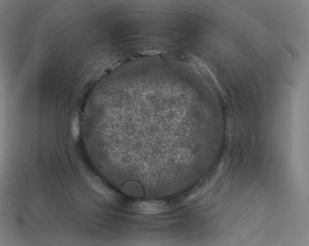X0000113370069200910061109
