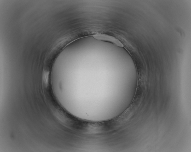 X0000113370070200910061109