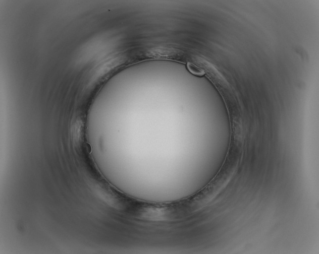 X0000113370071200910061109