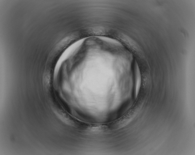 X0000113370072200910061109