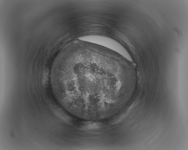 X0000113370073200910061109