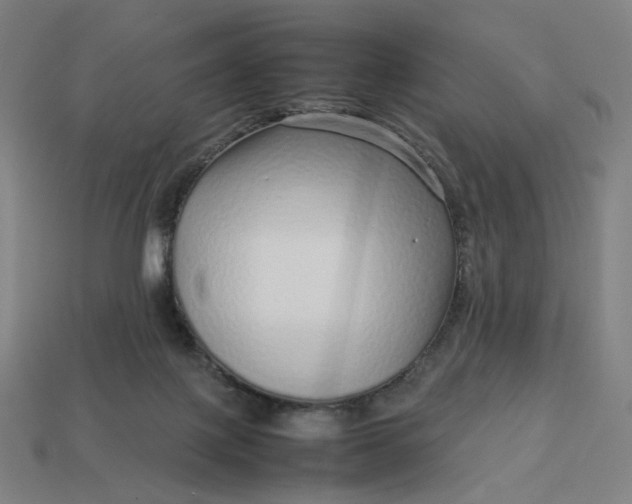 X0000113370075200910061109