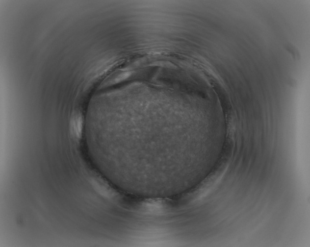 X0000113370076200910061109