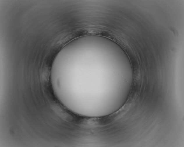 X0000113370078200910061109