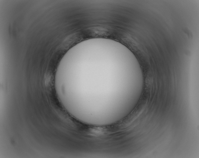 X0000113370079200910061109