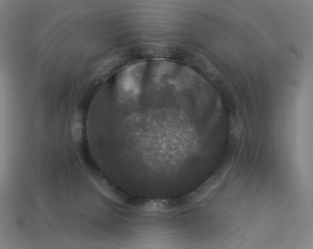X0000113370080200910061109