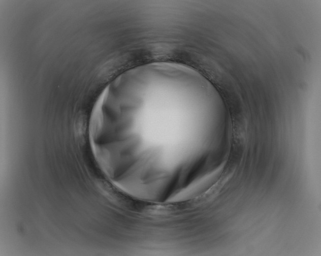 X0000113370082200910061109