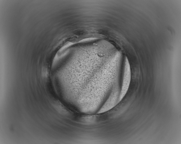 X0000113370084200910061109