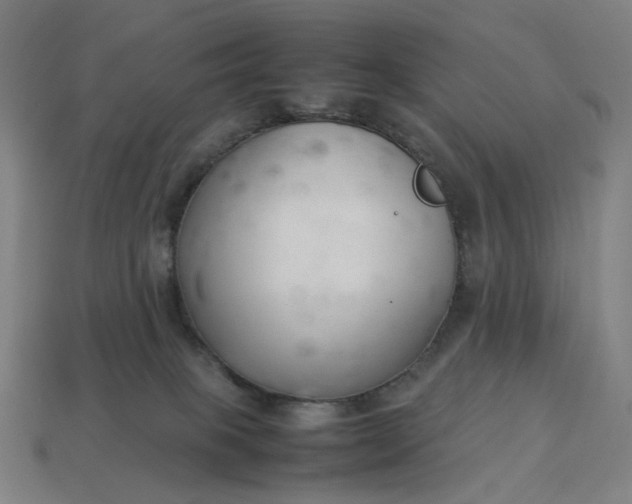 X0000113370085200910061109