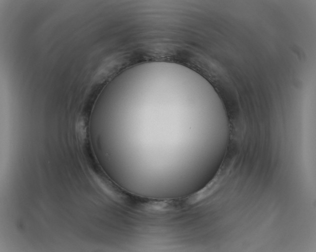 X0000113370086200910061109
