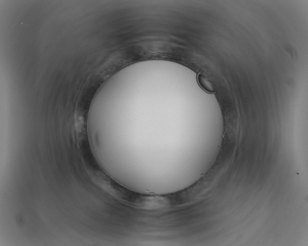 X0000113370087200910061109
