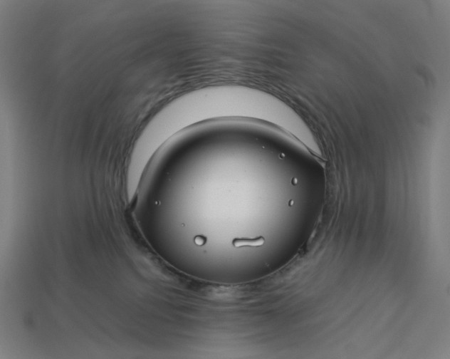 X0000113370088200910061109