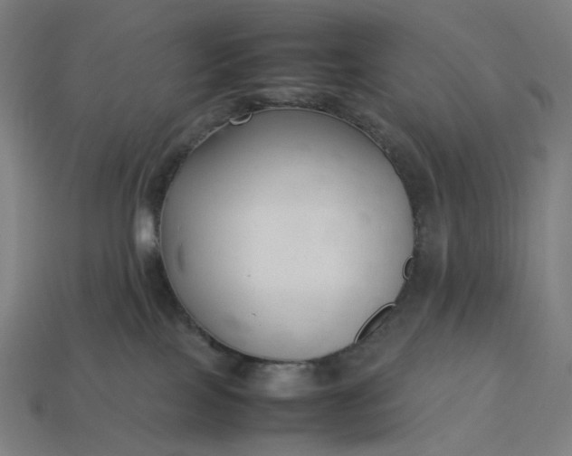 X0000113370089200910061109