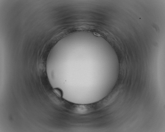 X0000113370091200910061109