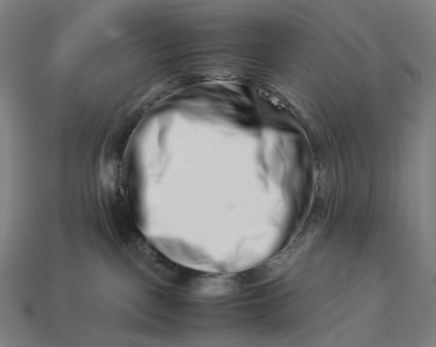 X0000113370093200910061109