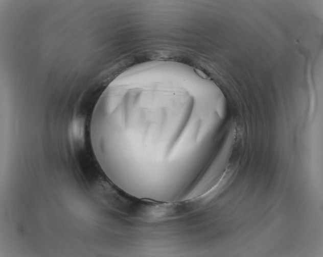 X0000113370094200910061109