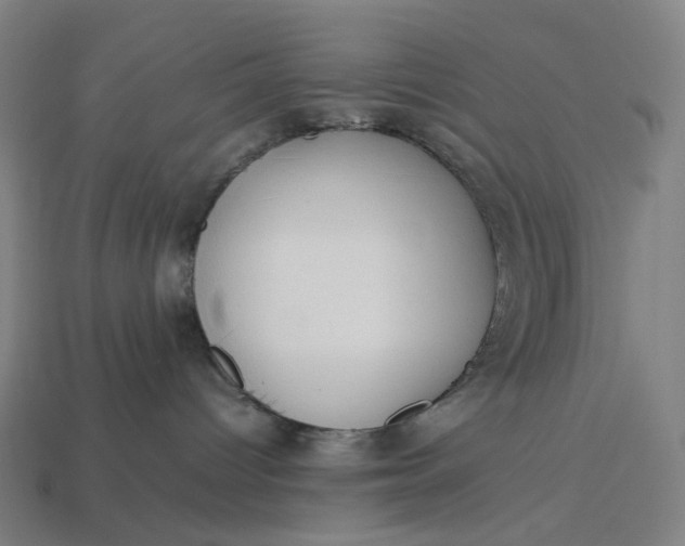X0000113370096200910061109