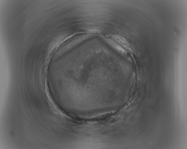 X0000113370097200910061109