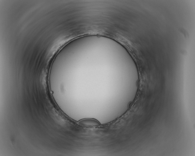 X0000113370098200910061109