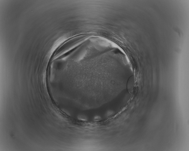 X0000113370099200910061109